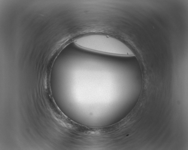 X0000078240068200611030930