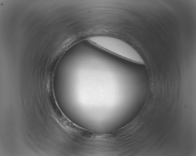 X0000078240072200611030930