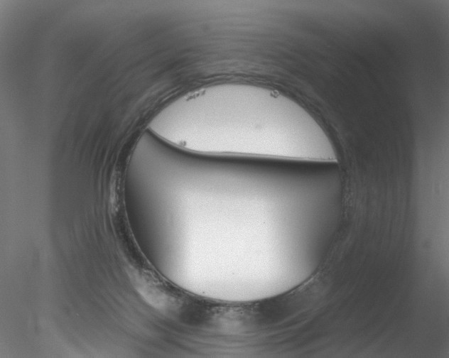 X0000078240074200611030930