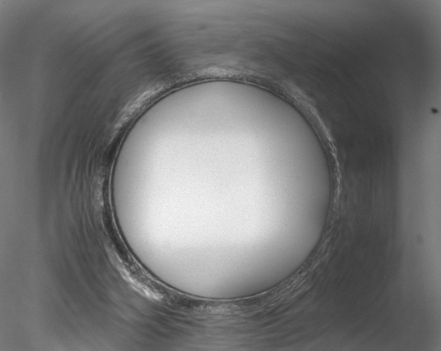 X0000078240106200611030929