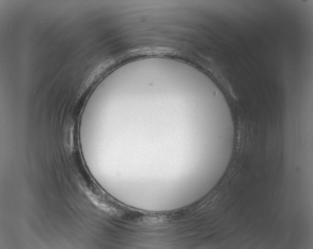 X0000078240110200611030929
