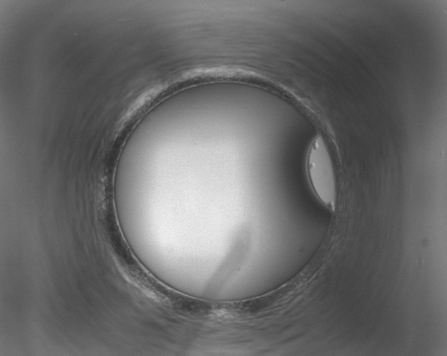 X0000078240111200611030929