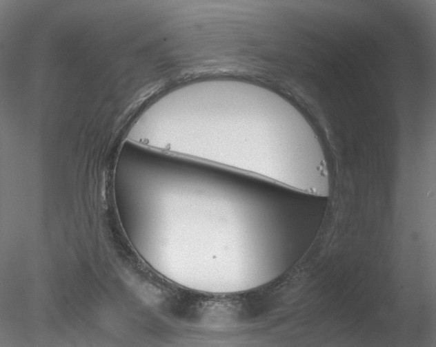 X0000078240115200611030929