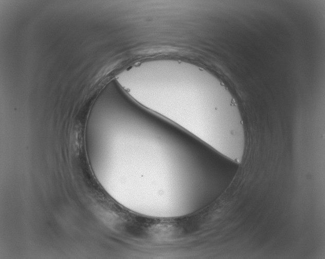 X0000078240119200611030929