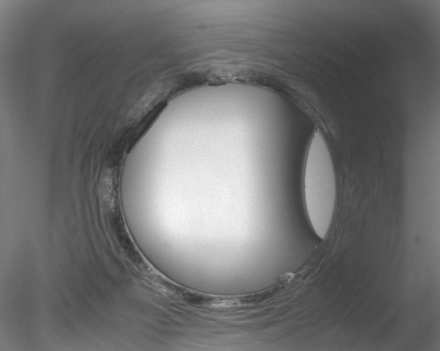X0000078240121200611030929
