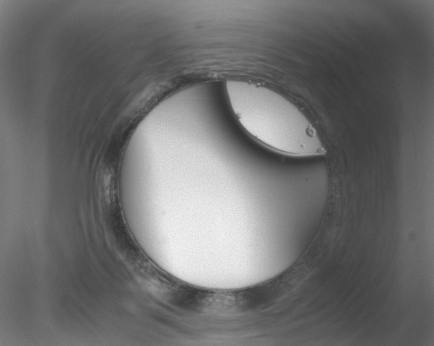 X0000078240123200611030929