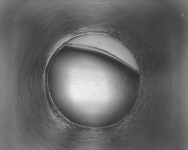 X0000078240148200611030928