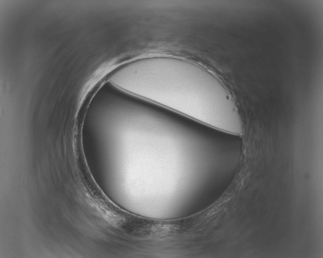 X0000078240152200611030928