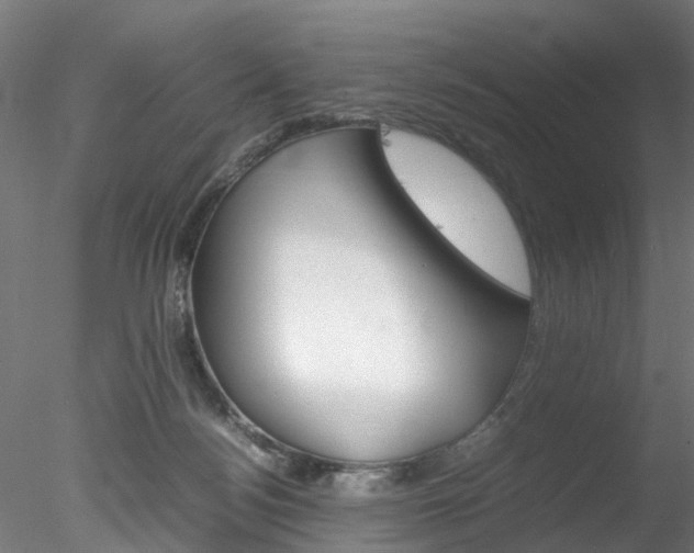 X0000078240172200611030928