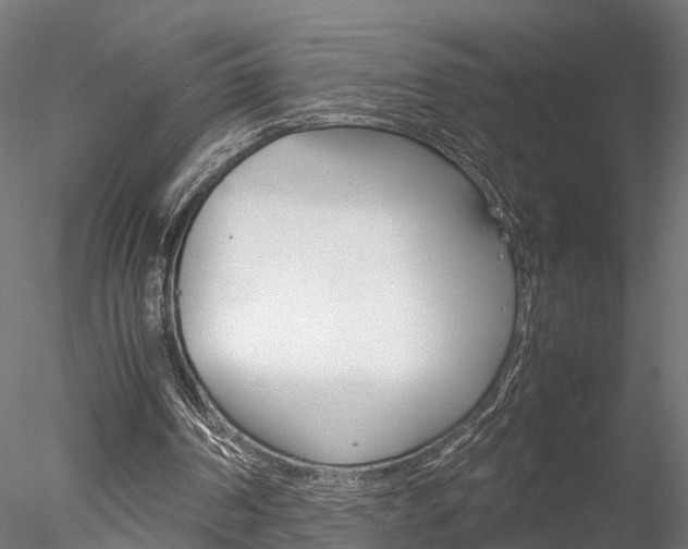 X0000078240194200611030928