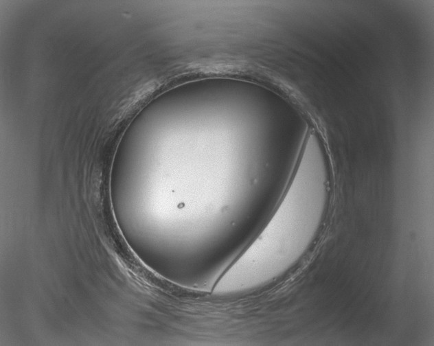 X0000078240201200611030928