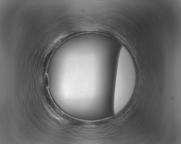 X0000078240203200611030928