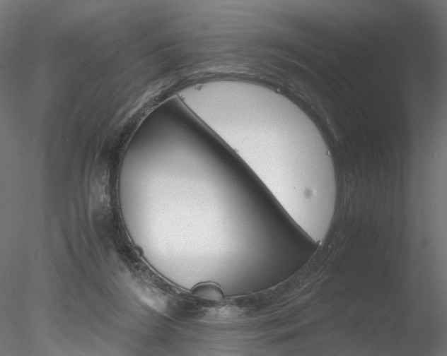 X0000078240212200611030928