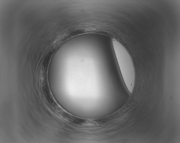 X0000078240215200611030928
