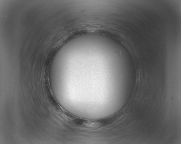X0000078240221200611030928