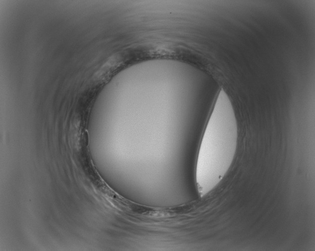 X0000078240223200611030927