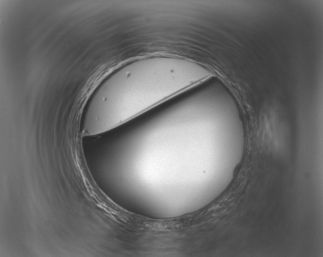 X0000078240241200611030926