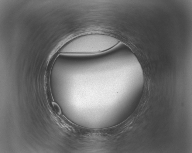 X0000078240244200611030926