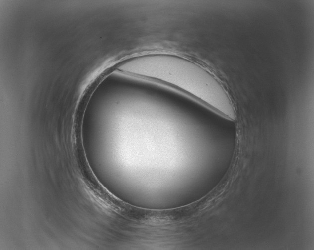 X0000078240248200611030927