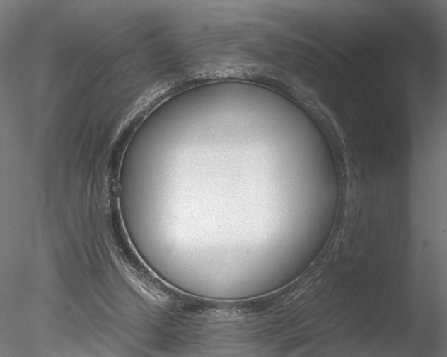 X0000078240250200611030927
