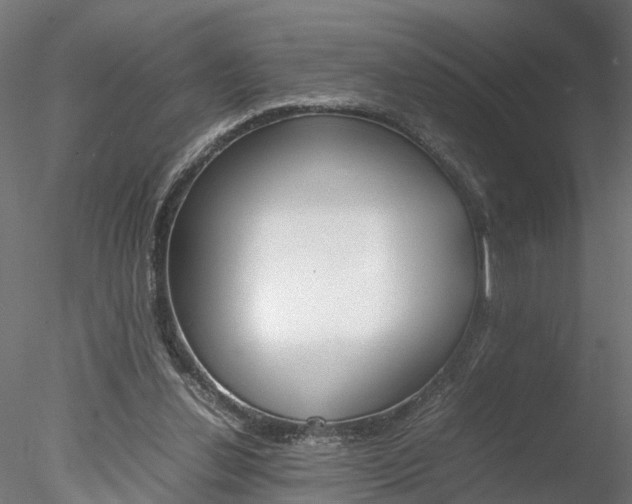 X0000078240252200611030927