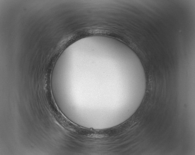 X0000078240255200611030927