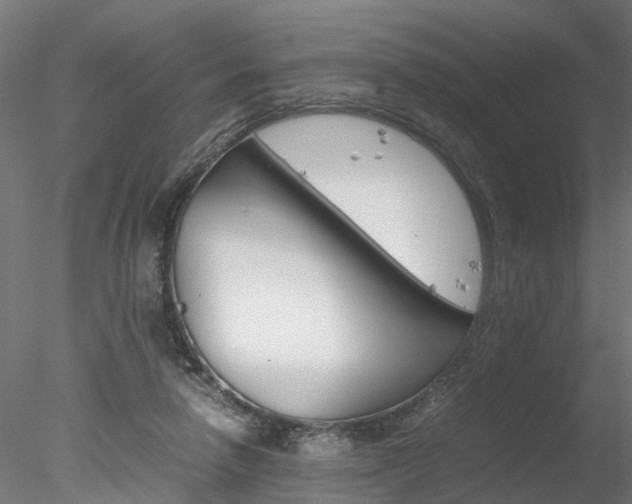 X0000078240258200611030927