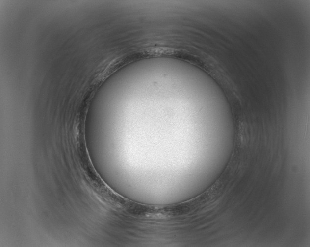X0000078240259200611030927
