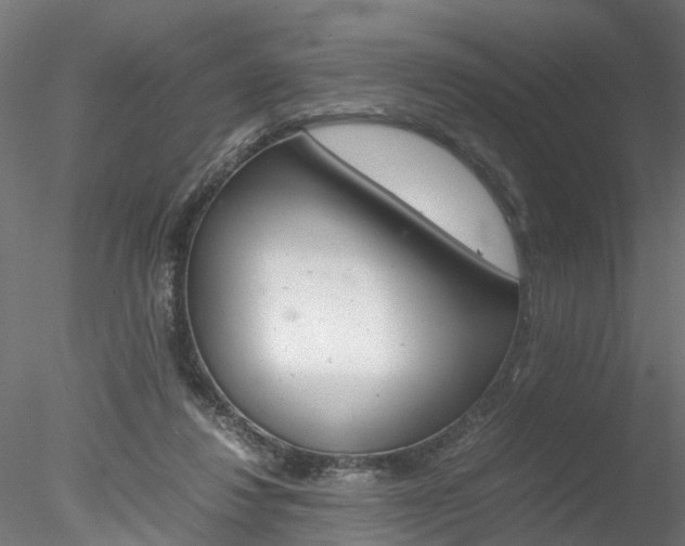 X0000078240260200611030927