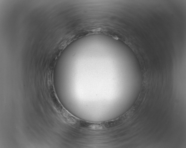 X0000078240272200611030927