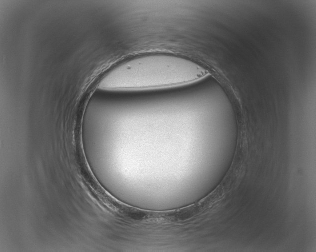 X0000078240299200611030926