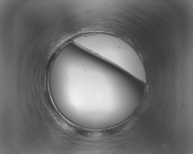X0000078240301200611030926