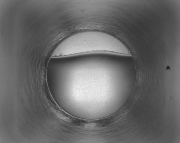 X0000078240309200611030926