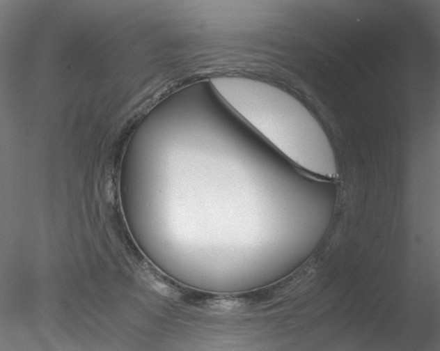 X0000078240313200611030926