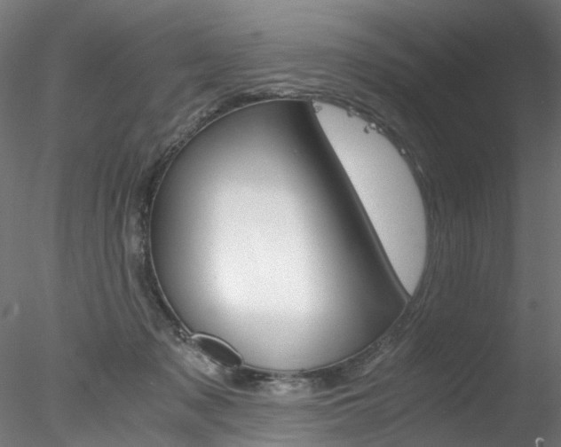 X0000078240317200611030926
