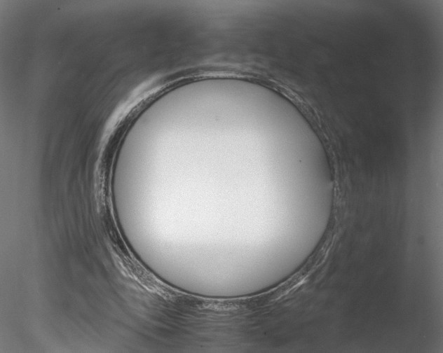 X0000078240343200611030925