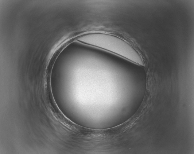 X0000078240344200611030925
