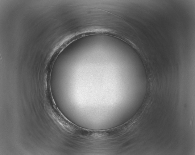 X0000078240350200611030925