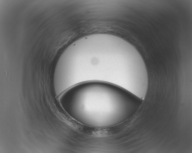 X0000078240362200611030925