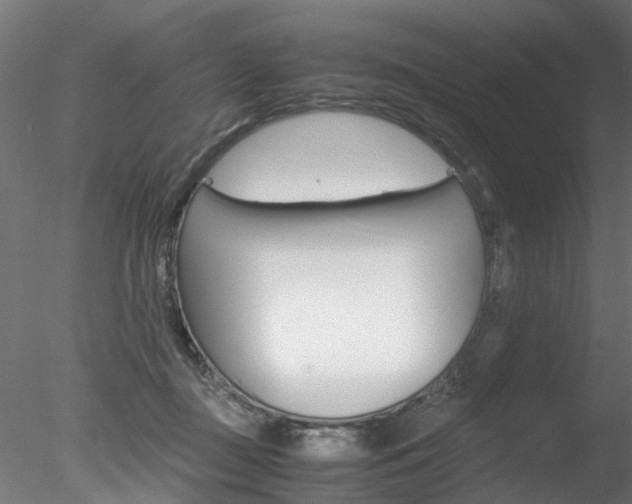 X0000078240363200611030925