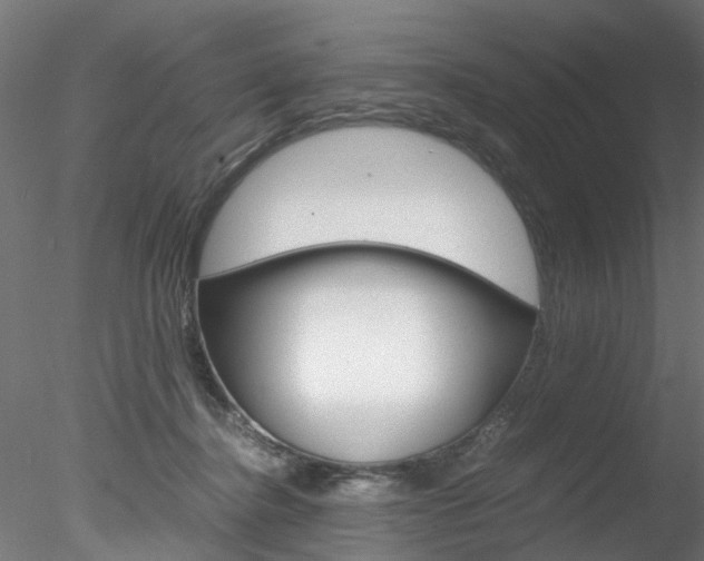 X0000078240364200611030925