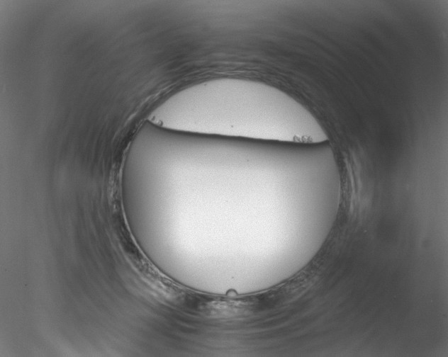 X0000078240367200611030925