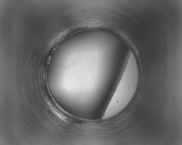 X0000078240397200611030925