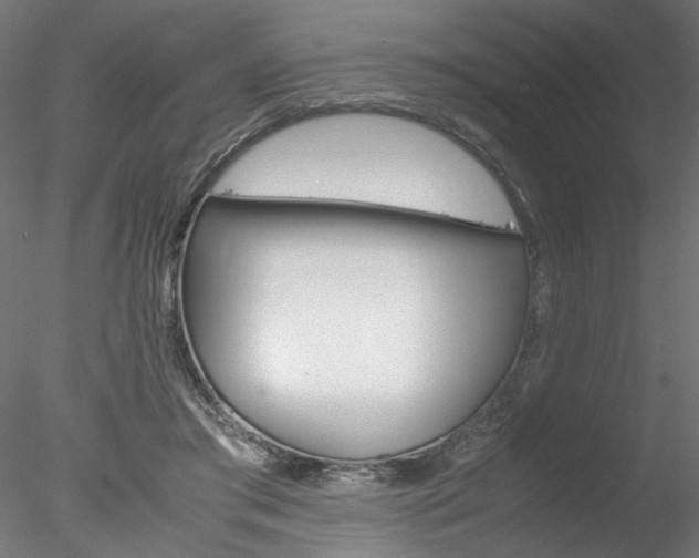 X0000078240405200611030924