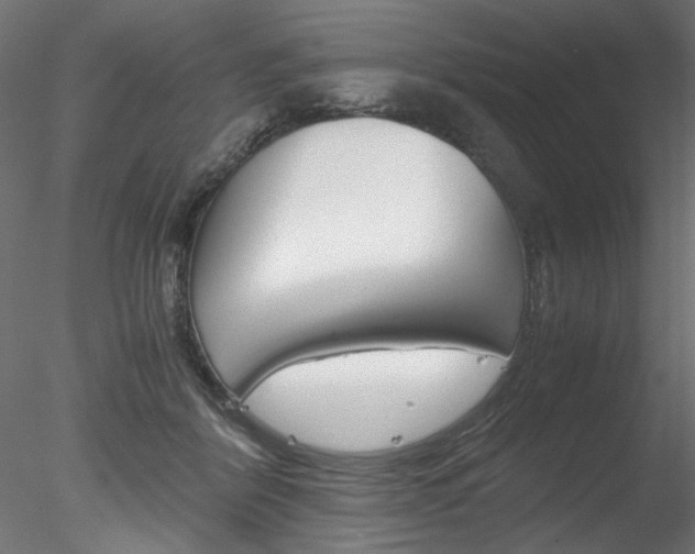 X0000078240412200611030924