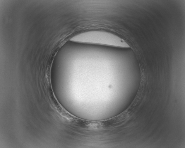 X0000078240415200611030924