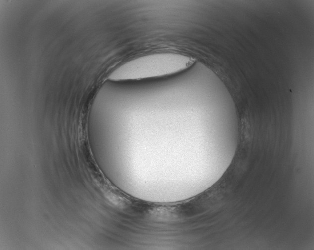 X0000078240422200611030924
