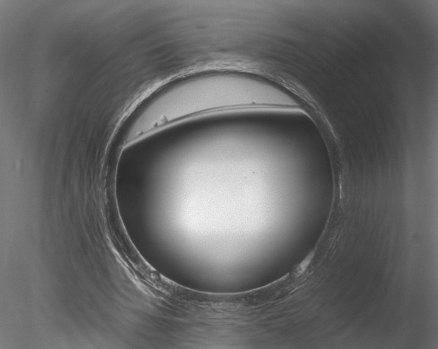 X0000078240436200611030923