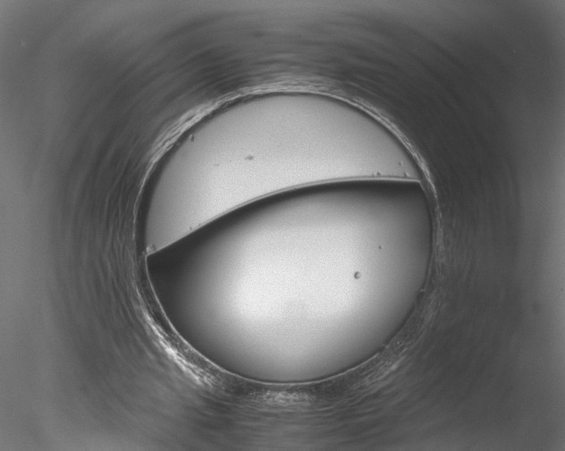X0000078240437200611030923