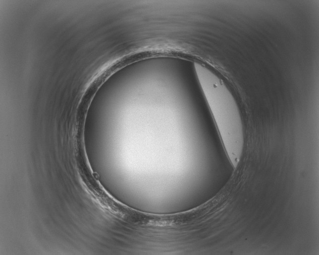X0000078240440200611030923